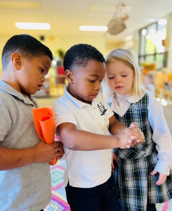 2025 Photo Contest 1st Place - WMA